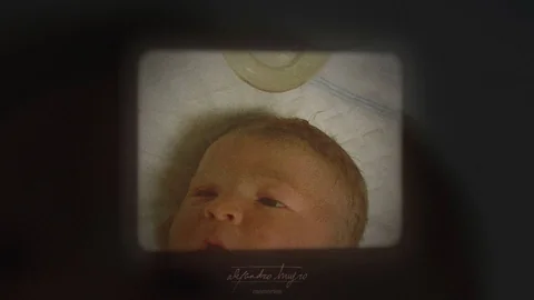 Mi pequeño dragón, foto 15