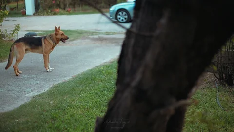Una mirada profunda, foto 5